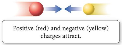 Positive and negative charges attract