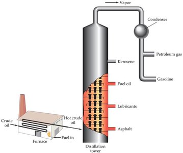 Fractional distillation column for petroleum