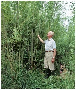 Harvesting plant material for biomass energy