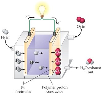 Fuel cell diagram