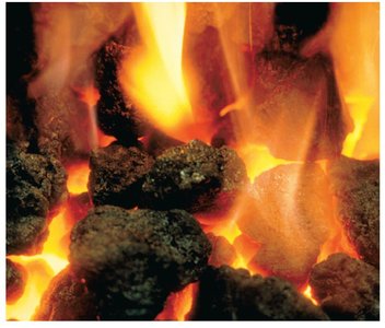 Burning coal: example of an exothermic reaction