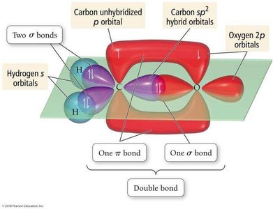 Formation of sp2 hybrid orbitals