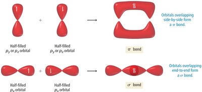 Sigma and pi bond formation