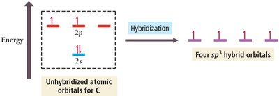 Hybrid orbitals offer more overlap