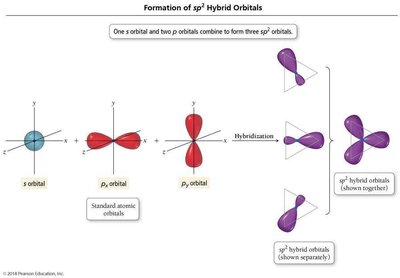 Formation of sp3 hybrid orbitals