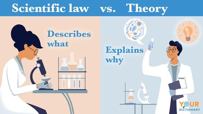 Comparison of scientific law and theory