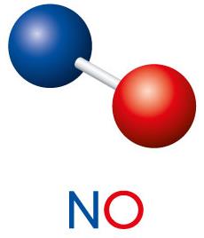 Molecular model of nitric oxide (NO)