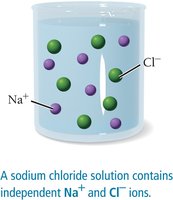 NaCl solution contains independent Na+ and Cl- ions