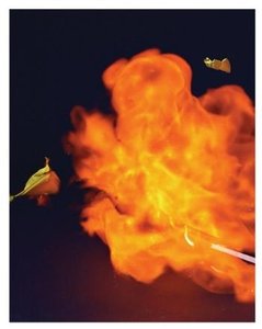Combustion reaction with visible flame