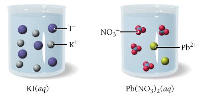 Molecular and ionic equations for precipitation reaction
