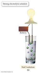 Strong electrolyte solution: NaCl solution conducts electricity