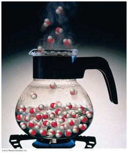 Molecular model of water boiling: water molecules in liquid and gas phase