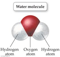 Water molecule: one oxygen atom bonded to two hydrogen atoms in a bent shape