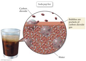 Soda pop fizz: bubbles of carbon dioxide gas escaping from water