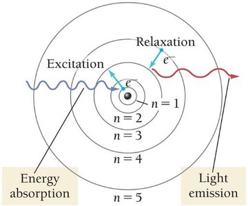 Bohr model showing electron excitation and relaxation