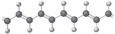 Conjugated structure of polyacetylene