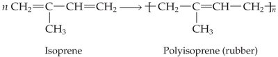 Polymerization of isoprene to polyisoprene (rubber)