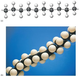 Molecular model of polyethylene