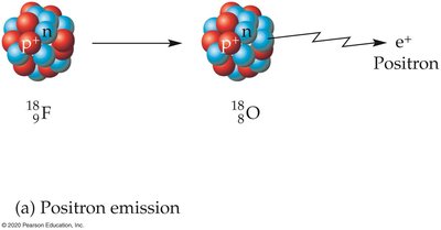 Positron emission process diagram