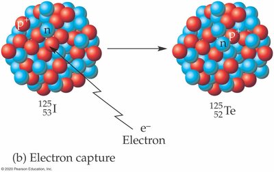 Electron capture process diagram