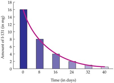 Radioactive decay curve for I-131