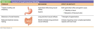 Table: Control of Small Intestinal Motility
