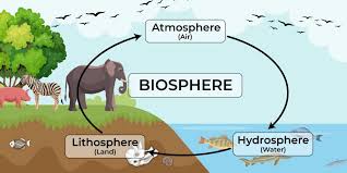 Diagram showing biosphere, atmosphere, hydrosphere, and lithosphere interactions