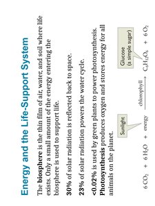 Photosynthesis equation and energy flow