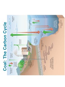 Natural gas flame
