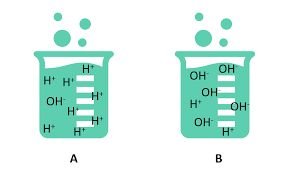 Acidic and basic solutions: beakers with H+ and OH- ions