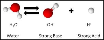 Dissociation of water into H+ and OH- ions