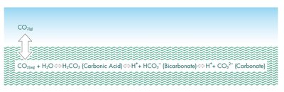Carbonate buffer system in water