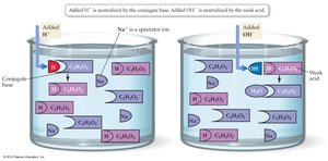 Buffer action diagram
