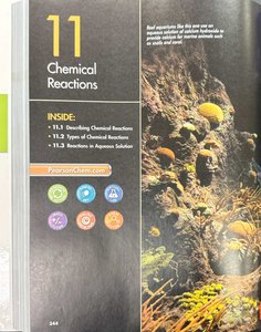 Coral reef ecosystem as an example of chemical reactions in nature