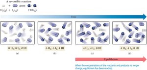 Reversible reaction reaching equilibrium