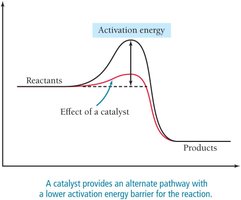 Catalyst effect on activation energy diagram