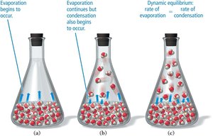 Evaporation and condensation in a closed container