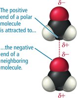 Dipole-dipole force: attraction between polar molecules