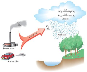 Acid rain formation and environmental impact