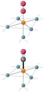 CO binding to hemoglobin