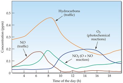 Development of air pollutants on a sunny day