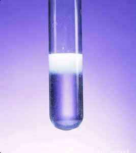 Test tube with a white precipitate from a double displacement reaction
