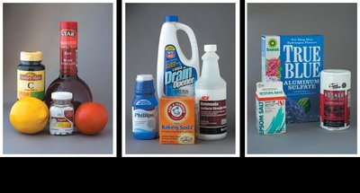 Examples of acids and bases in household products