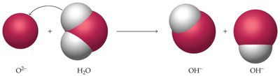 Basic anhydride reaction: O2- with H2O forms OH-
