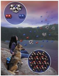 A person and a dog by the seaside, with molecular representations of air and rock components