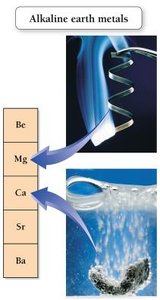 Alkaline earth metals: magnesium and calcium