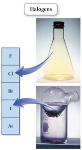 Halogens: chlorine and iodine