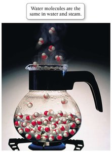 Boiling water: physical change