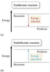 Exothermic and endothermic reactions