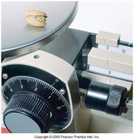 Triple-beam balance with a nut, measuring mass